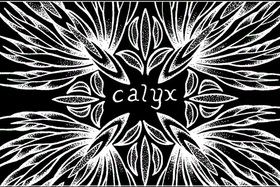 Calyx: “Leslie, Plain and Strong"