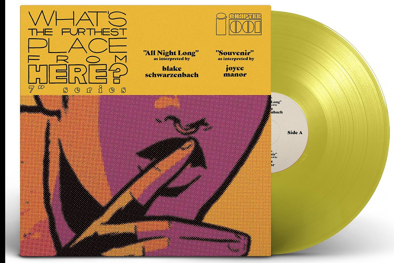 Blake Schwarzenbach and Joyce Manor  to release split 7-inch