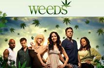 Rise Against records "Little Boxes" for Weeds TV show